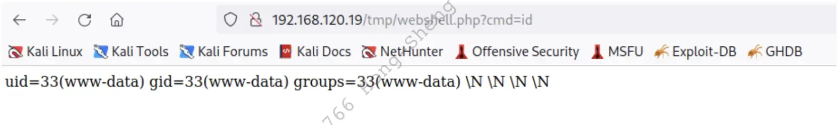 Accessing-the-newly-Webshell