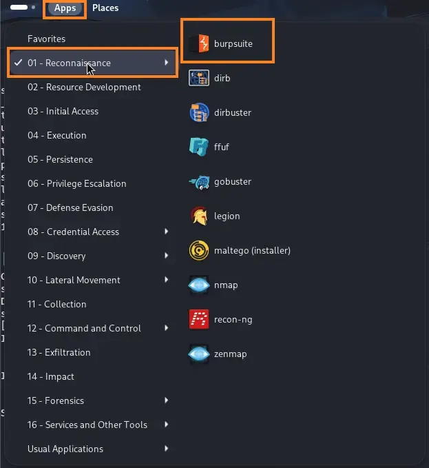 BurpSuite
