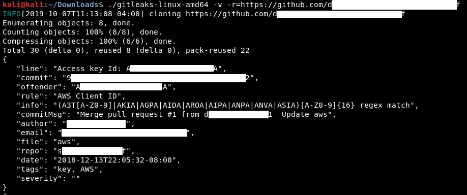 Example-Gitleaks-Output