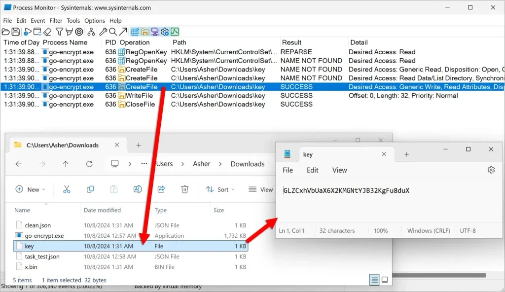 process-monitor-go-encrypt