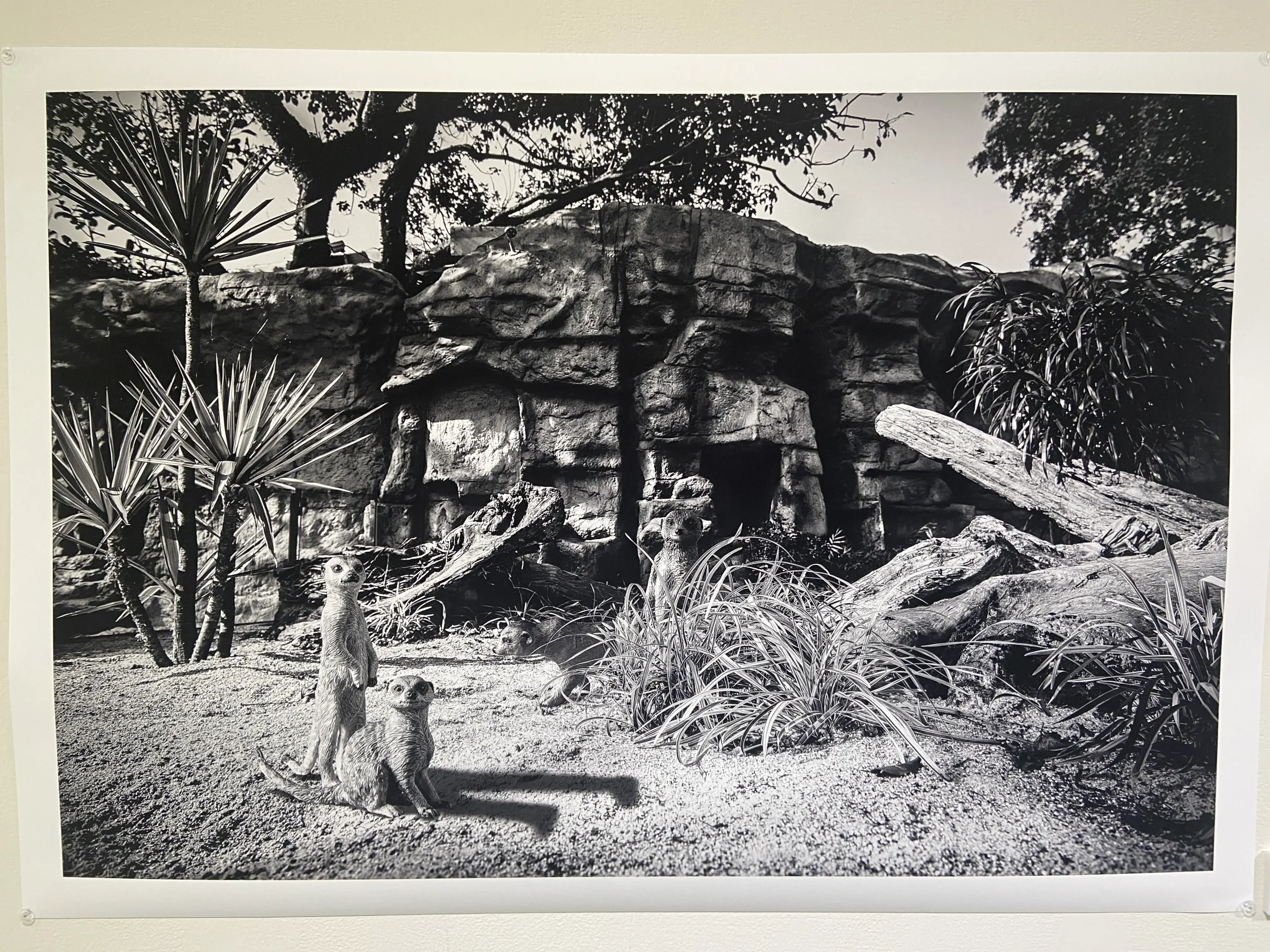 胡蒙-省思Reflection-藝術家王鼎元